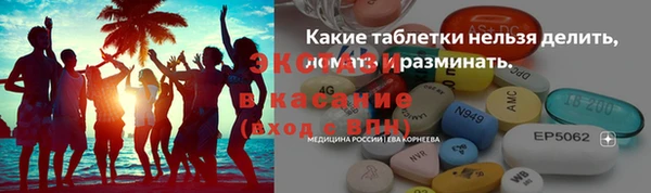 ECSTASY Богородицк
