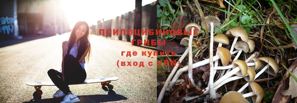 дживик Беломорск