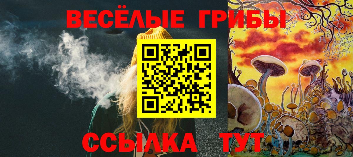 Буйнакск  Псилоцибиновые грибы прущие грибы  Псилоцибиновые грибы прущие грибы  сколько стоит  Вход с VPN 